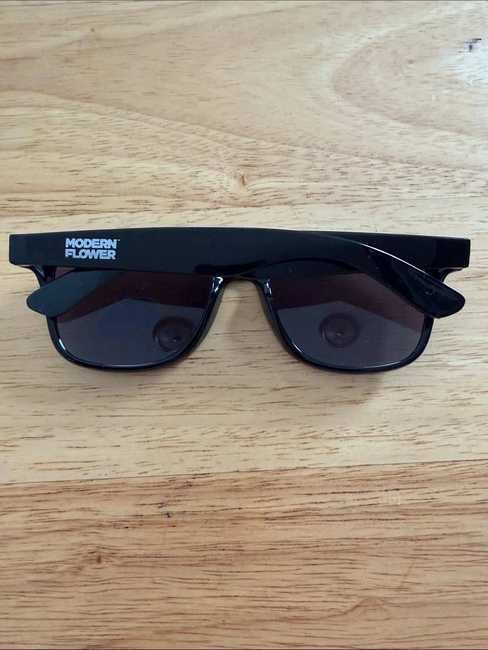 Classic Black Wayfarer Sunglasses